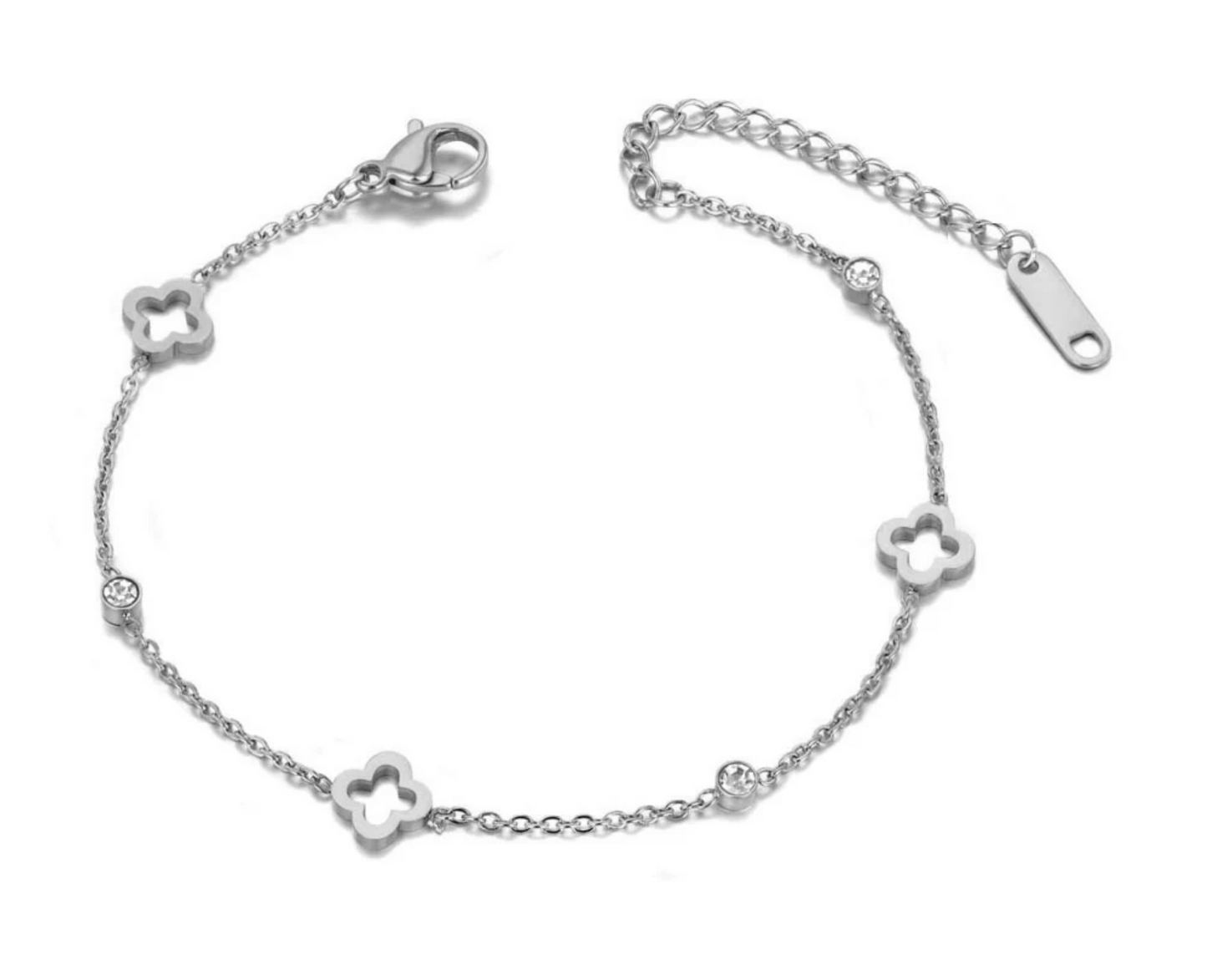 Silver djetelina nanogica